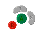 Buttons