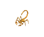 Clawbug