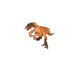 Fyora