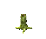 Spawner