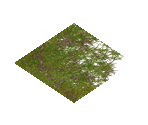 Tilesets