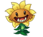 Primal Sunflower