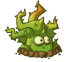 Timid Thorn