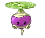 Rotobaga