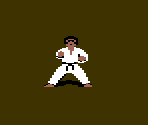 White Karateka