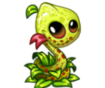 Znake Lily