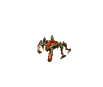 Beetle