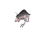 Dire Wolf