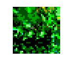 Rainforest Tileset