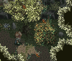 Yggdrasill Forest (Past)