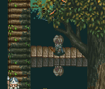 Ymir Forest 1