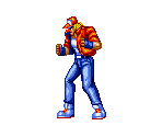 Terry Bogard