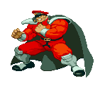 M. Bison