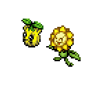 Sunkern & Sunflora