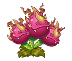 Dragon Bruit