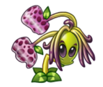Hammeruit