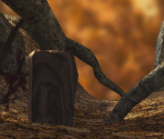 Autumn Forest