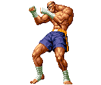 Sagat