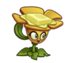 Buttercup
