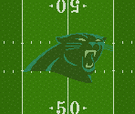 Carolina Panthers
