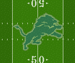 Detroit Lions
