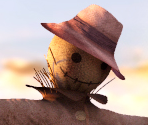 Pumpkin Patch