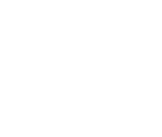Fonts
