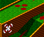 Hole 5 - Frantic Fans
