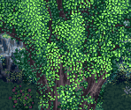 Spirit Forest (Past & Future)