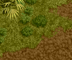 Jungle Route - Stage 5 (Part 1)