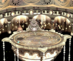 Stage Intro