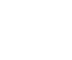 Fonts