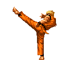 Ryo