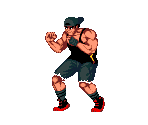 Salvador (Alternate Color)