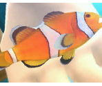 Fishes