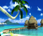 Wii Menu Icon & Banner