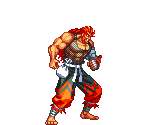 Raiga
