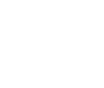 Fonts