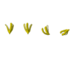 Items