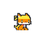 Orange Cat