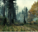 Banners