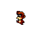 Monkey