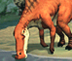 Herbivore 1