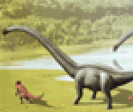 Herbivore 3