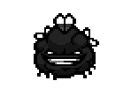 Tainted Boom Fly
