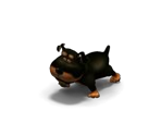 Dog 3
