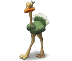 Ostrich