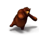 Brown Bear