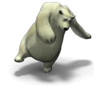 White Bear