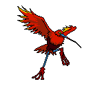 Blood Kiwi